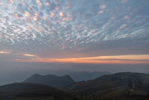 Sonnenaufgang im Nebel auf der Wiese