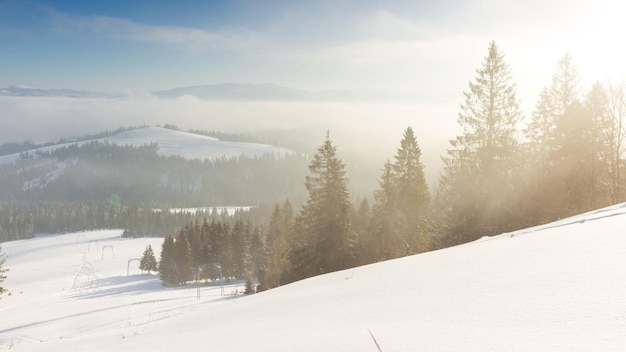 Sonnenaufgang im Winter Bergwald Antenne Frostig niemand Naturlandschaft Alpine schneebedeckte Bäume im Morgennebel Atemberaubende natürliche Schönheit Sonnenaufgang rosa Licht Kiefernwald