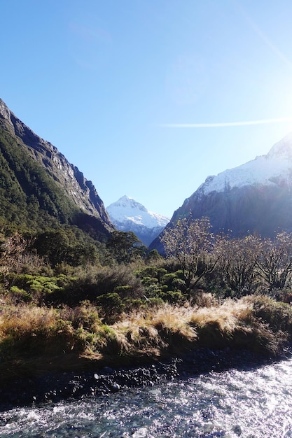 Foto sonnenaufgang in neuseeland fjordland gesunde natur kristallklarer bach