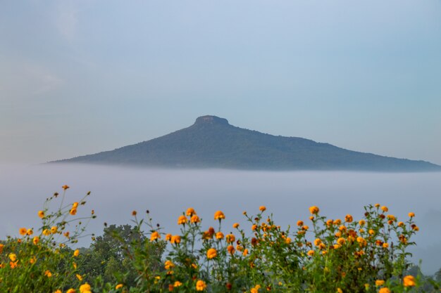 Sonnenaufgang mit dem Nebel Schöne Landschaft für die Entspannung in Thailand