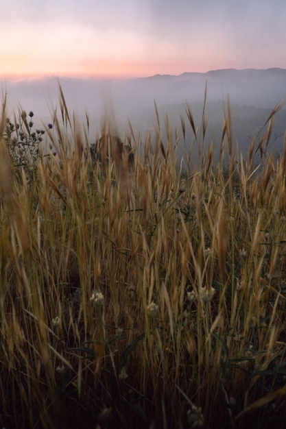 Sonnenaufgang mit Nebel im Berg