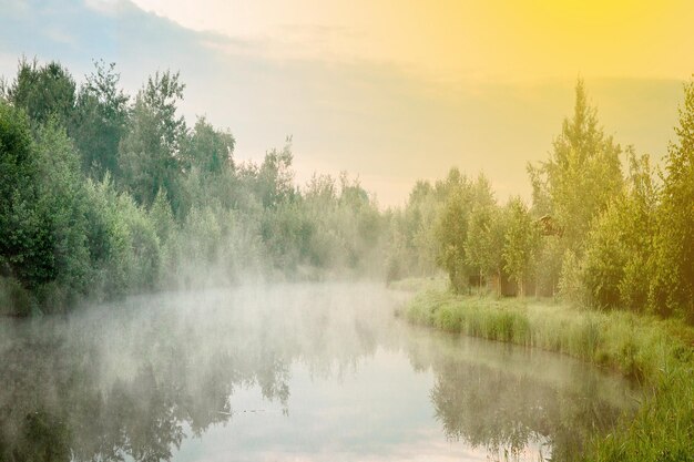 Sonnenaufgang mit Nebel über einem See in den Feuchtgebieten