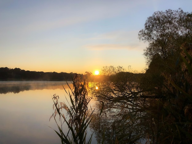 Sonnenaufgang. Sonne. Nebliger Morgen am Ufer des Stausees. Küstenspiegelung im See.