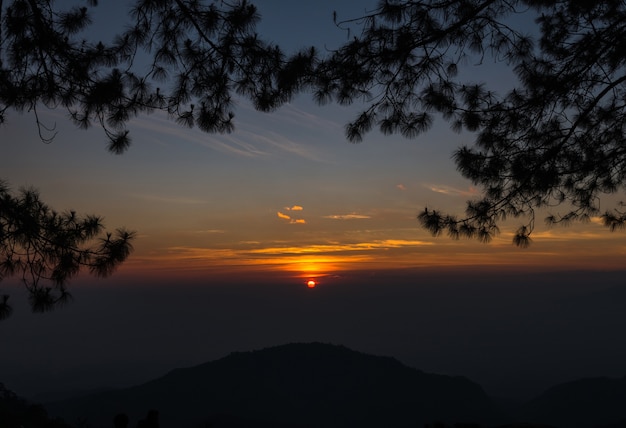 Sonnenaufgang über Berglandschaftshintergrund mit Kiefer