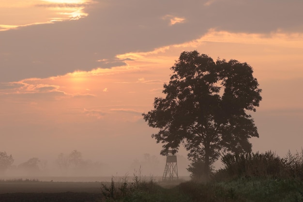 Sonnenaufgang über dem Feld Polen