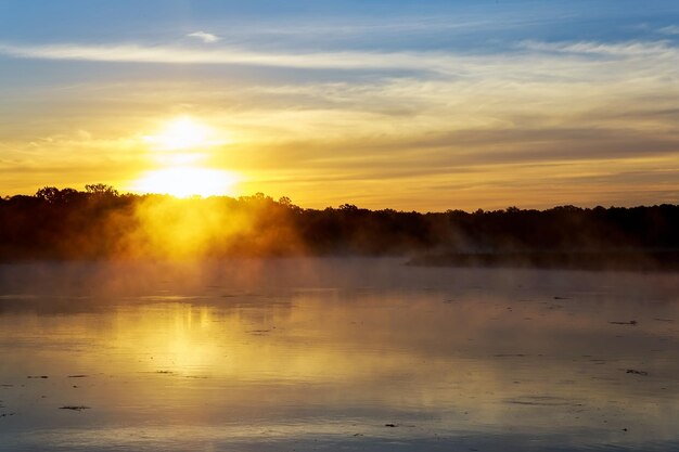 Sonnenaufgang über dem See mit dem Spiegelbild kahler Bäume im Wasser