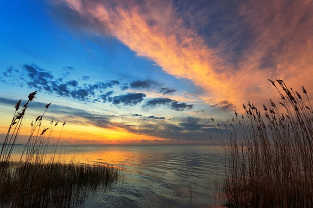 Sonnenaufgang über dem Wasser mit Schilf am Ufer mit weichem Fokus der Reflexionen