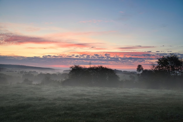 Sonnenaufgang über einem benachbarten Wald mit Wiese im Vordergrund Weidenlandschaft