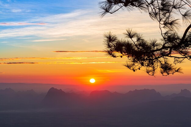 Sonnenaufgang und Nebel im Winter Landschaftsansicht vom Gipfel des Berges bei Phu Kradueng