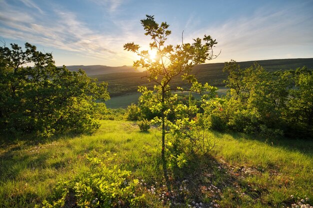 Sonnenaufgangslandschaft in den Bergen