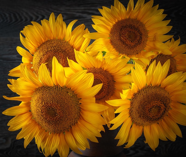 Sonnenblume in einer Vase auf dem Tisch