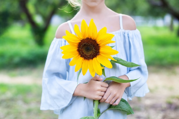 Sonnenblume in weiblichen Händen. Glückliches kleines Mädchen mit einer schönen Sonnenblume in einem Sommerpark bei Sonnenuntergang. Ernte. Hände eines Kindes mit einer Blume.