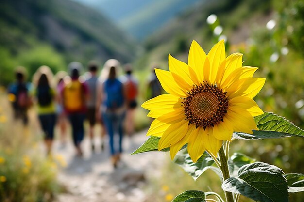 Sonnenblume mit einer Gruppe tanzender Menschen