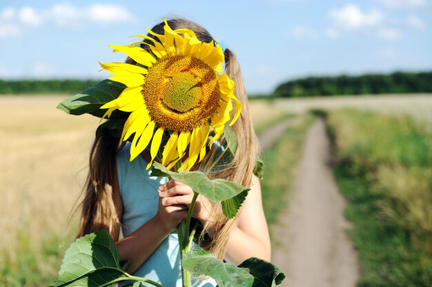 Sonnenblume