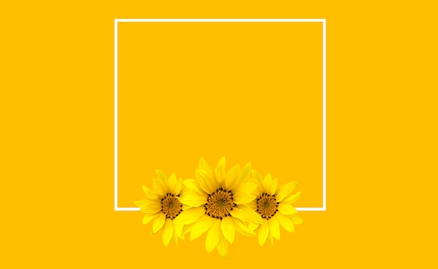 Sonnenblumen am unteren Rand eines Rahmens