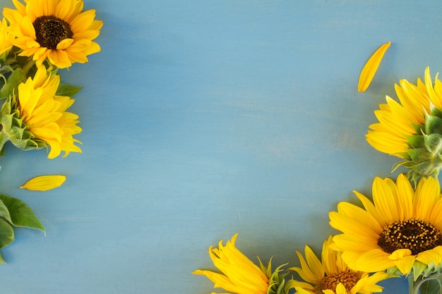 Sonnenblumen auf Blau, Kopienraum auf blauem Holzhintergrund, op-Ansicht