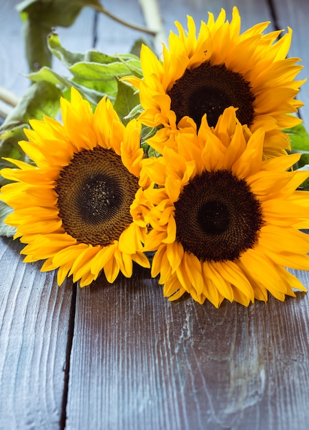 Sonnenblumen auf dem Tisch