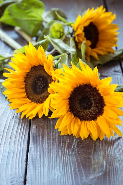 Sonnenblumen auf dem Tisch