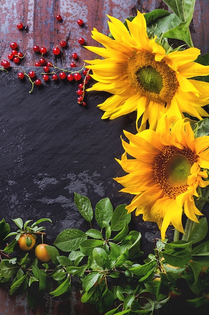 Sonnenblumen mit Beeren