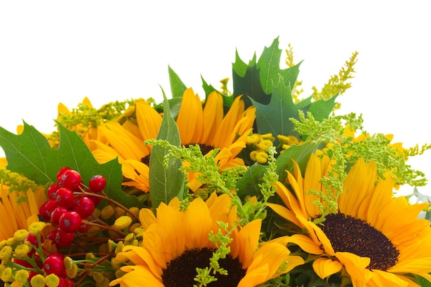 Sonnenblumen mit grünen Blättern