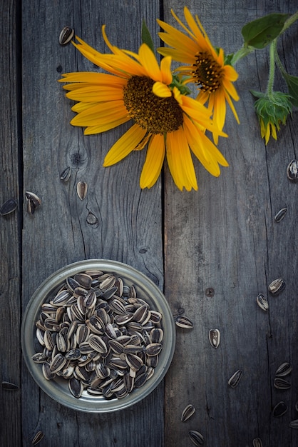 Foto sonnenblumenkerne