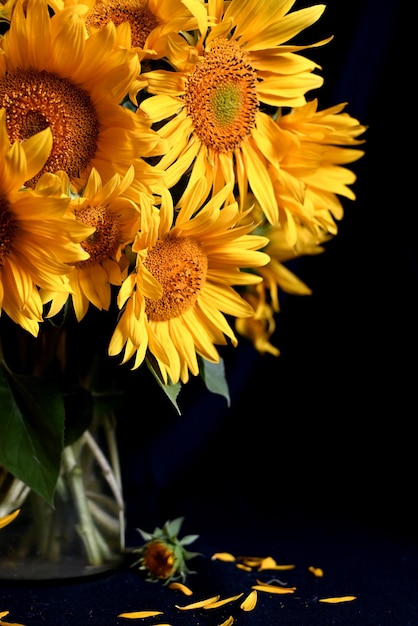 Sonnenblumenstrauß in einem KrugStilllife aus einem Sonnenblumenstrauß