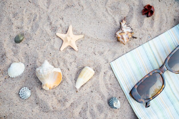 Sonnenbrillen und Muscheln auf dem Sand. Flache Lay-Komposition mit Urlaubszubehör am Strand