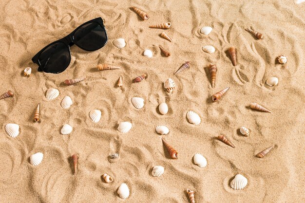 Sonnenbrillen und Muscheln auf Strandsand