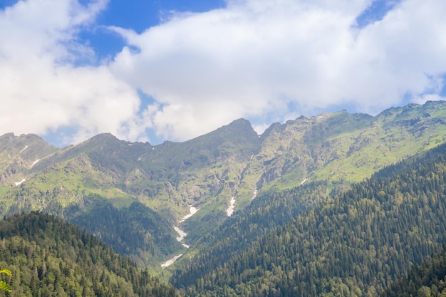 Sonnendurchflutetes grünes Gebirgstal mit Wald vor Gebirgskette unter bewölktem Himmel, breites Gebirgstal