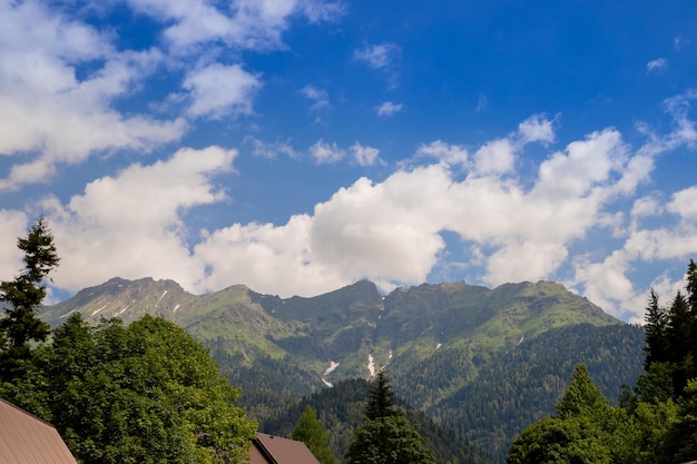 Sonnendurchflutetes grünes Gebirgstal mit Wald vor Gebirgskette unter bewölktem Himmel, breites Gebirgstal