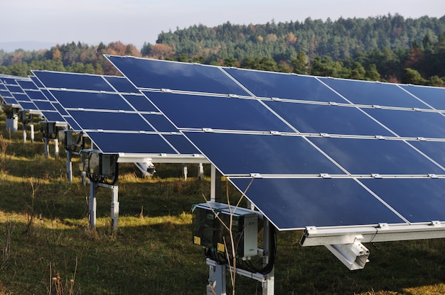 Sonnenkollektor-Energiefeld im Wald