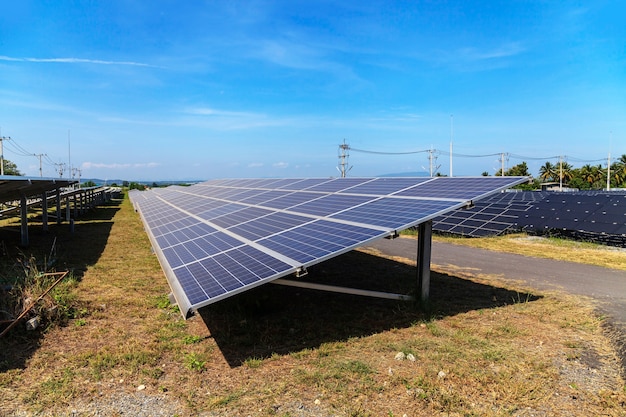 Sonnenkollektoren auf grünem Feld, Solarkraftwerk