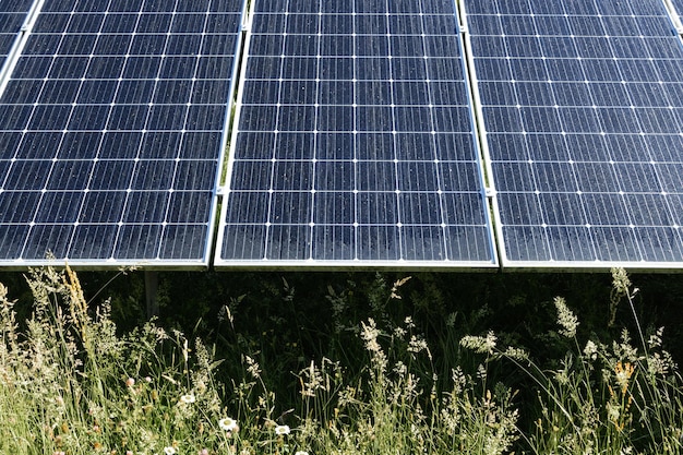 Sonnenkollektoren Photovoltaik im Solarpark