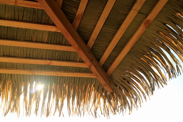 Sonnenlicht, das durch KokosnussPalme-Blattpavillondach, Osterinsel, Chile glänzt