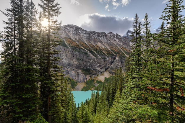 Sonnenlicht durch Pinienwald mit felsigen Bergen in Lake Louise im Banff Nationalpark, Kanada