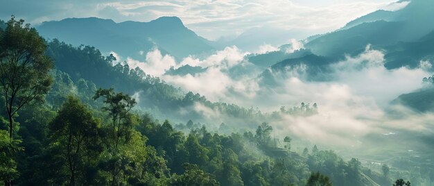 Sonnenlicht durchdringt den Nebel über geschichtete Bergkamm