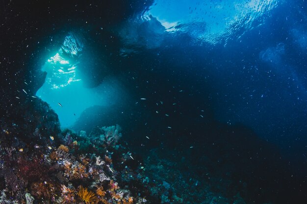 Sonnenlicht steigt in eine Unterwasser-Grotte im Salomon Islan