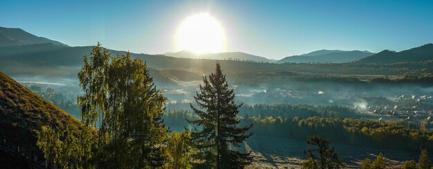 Foto sonnenlicht strömt durch bäume gegen den himmel