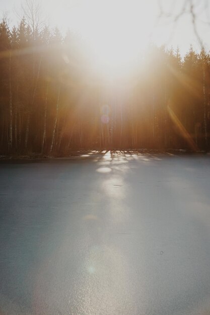 Foto sonnenlicht und reflexionen im gefrorenen see