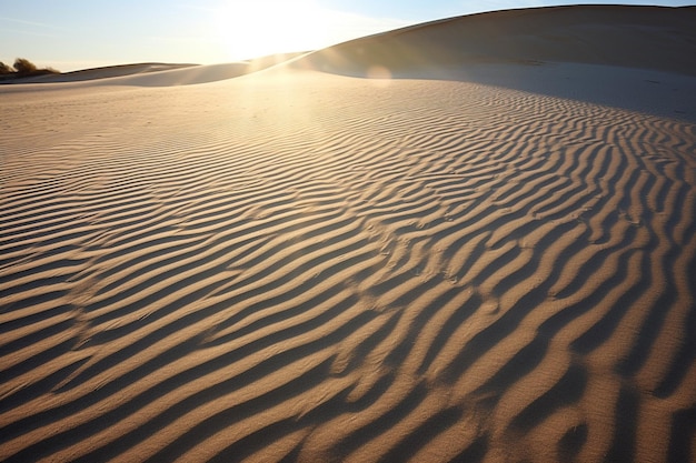 Sonnenlicht wirft lange Schatten von Bäumen auf einen friedlichen See