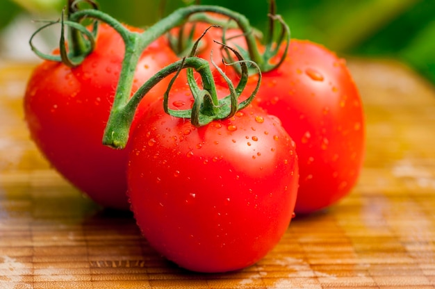 Sonnenschein frische Tomaten Holzschneidebrett