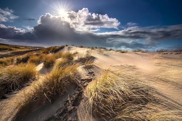 Sonnenschein über Sanddünen an der Meeresküste