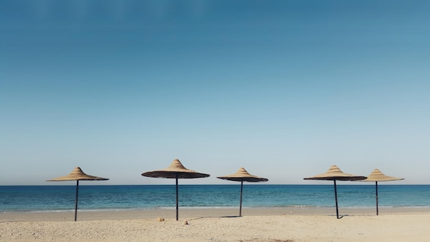 Sonnenschirme am Strand vor klarem Himmel