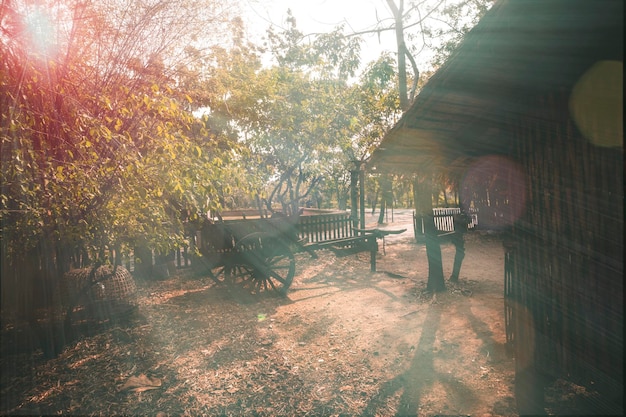 Sonnenstrahlen durch das Land der einfachen, rustikalen und einfachen Wohnhütte in einem Dorf im Norden Thailands Asiens ein traditioneller Holzkarren im thailändischen Stil vor dem Haus