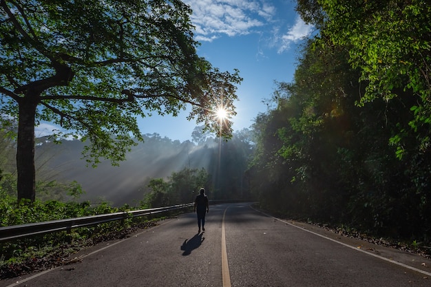 Sonnenstrahlen durch den Nebel beleuchten eine kurvenreiche, malerische Straße, die von einem wunderschönen grünen Wald mit Lichteffekten und Schatten umgeben ist. Kaeng Krachan Nationalpark, Phetchaburi - Thailand