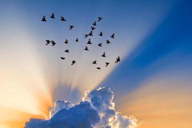 Sonnenstrahlen kommen durch Wolken