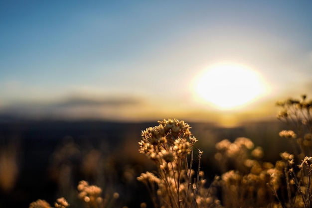 Foto sonnenuntergänge in der wüste