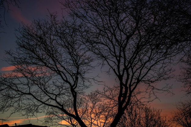 Sonnenuntergänge sind wie Gottes Gemälde am Himmel.