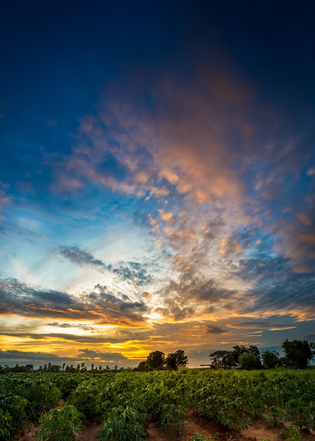 Sonnenuntergang am Ackerland