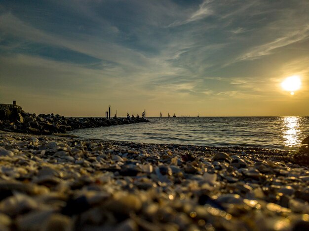 Sonnenuntergang am Strand mit Angeln